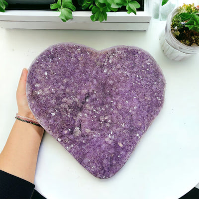 Large Amethyst Cluster Heart - Natural Amethyst next to hand for size reference 