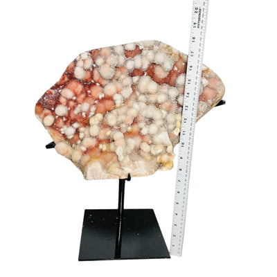 pink amethyst cluster on stand next to a ruler for size reference 