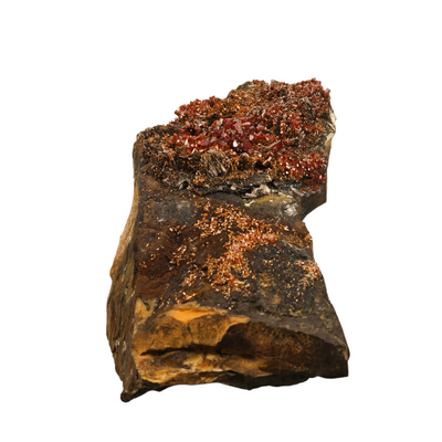 Vanadinite - Large Vanadinite Crystal Cluster on Matrix - High Grade side view on white background