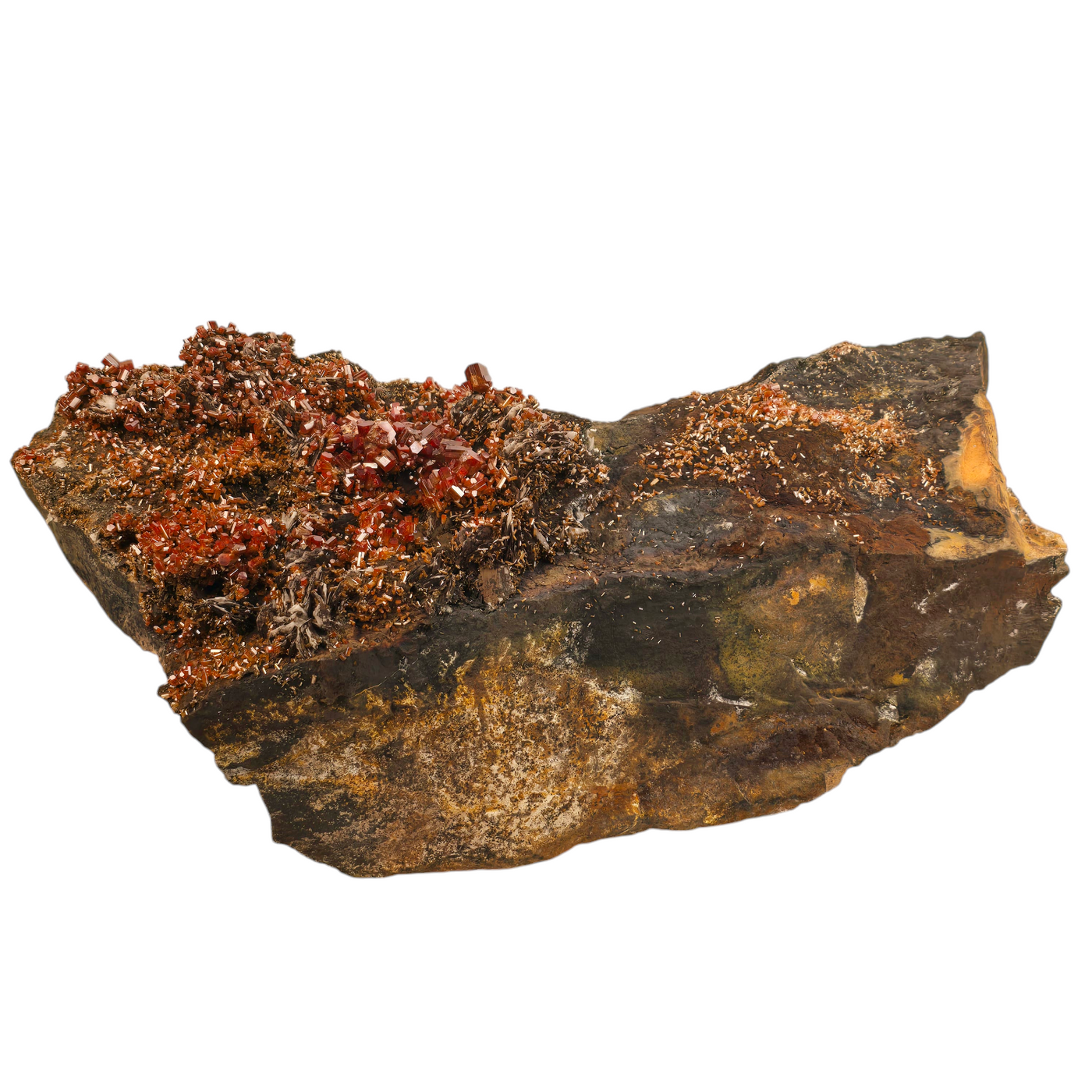 Vanadinite - Large Vanadinite Crystal Cluster on Matrix - High Grade back view on white background