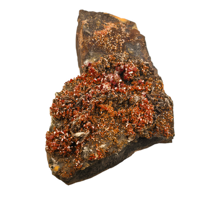 Vanadinite - Large Vanadinite Crystal Cluster on Matrix - High Grade side view on white background