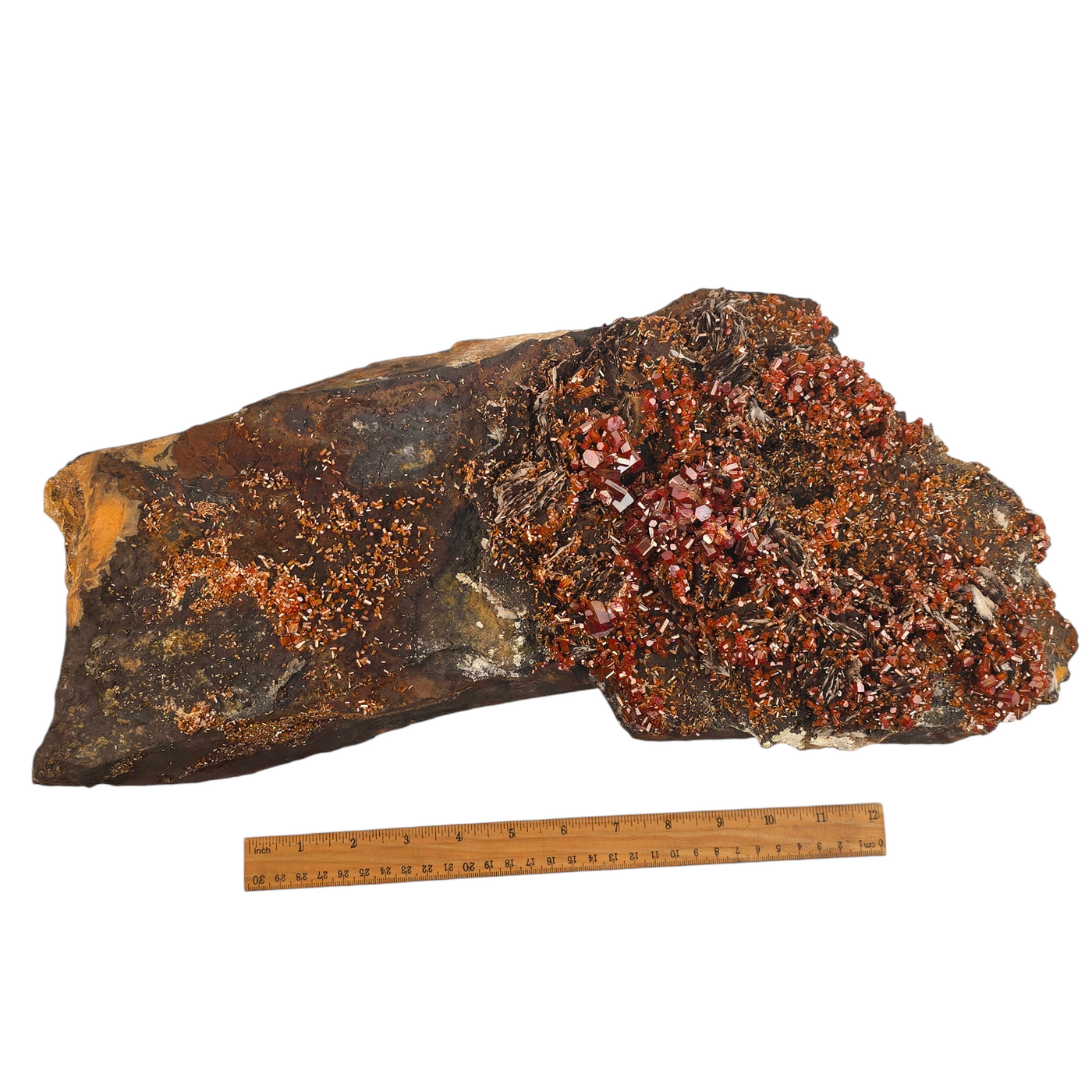 Vanadinite - Large Vanadinite Crystal Cluster on Matrix - High Grade with ruler for size reference on white background