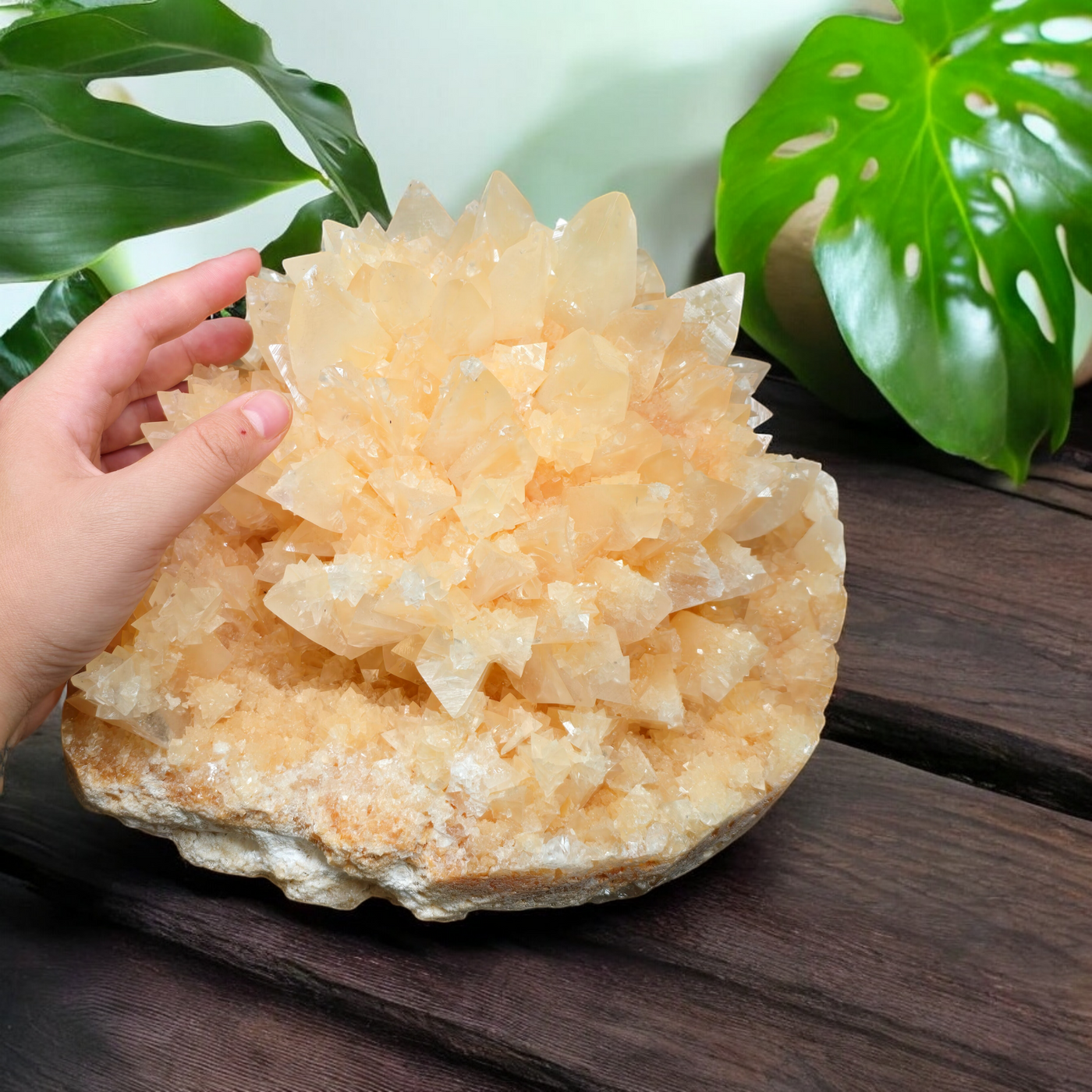 Yellow Calcite Flower - High Grade Large Crystal Cluster from China with hand for size reference