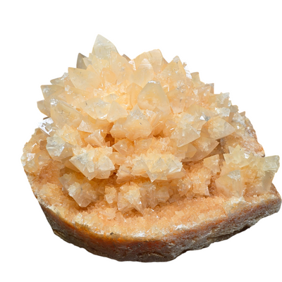 Yellow Calcite Flower - High Grade Large Crystal Cluster from China side view