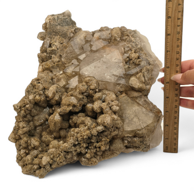 Giant Lodalite Quartz Cluster front view with ruler and hand for size reference