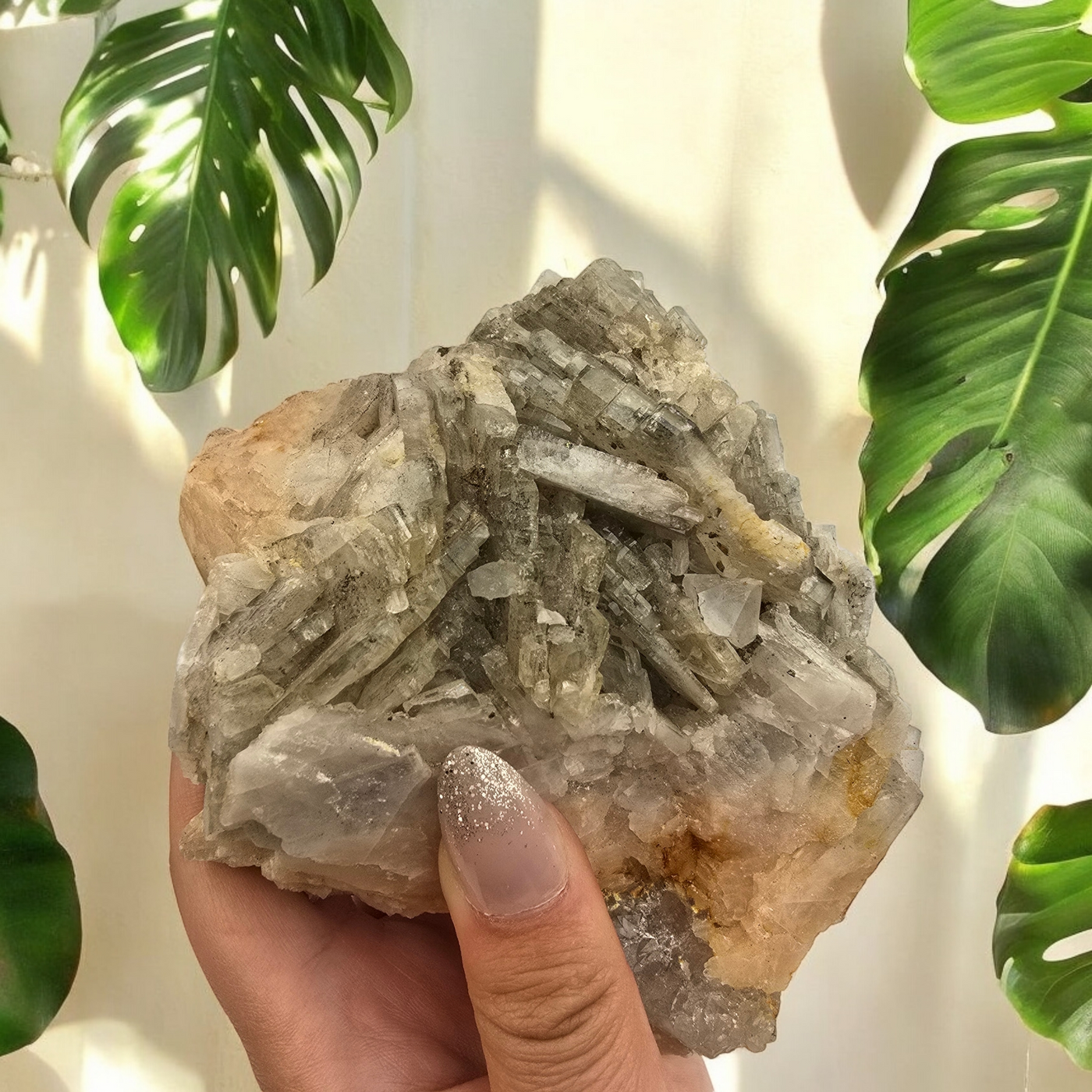 Arsenopyrite on Quartz - High Grade Crystal Specimen from Morocco #2 - in hand for size reference with plants in the background