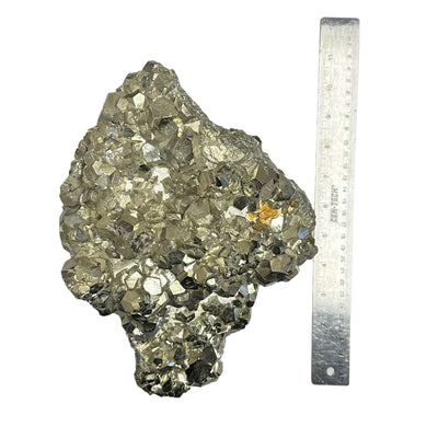 Large Pyrite cluster with Hexagon formations next to a ruler for size reference