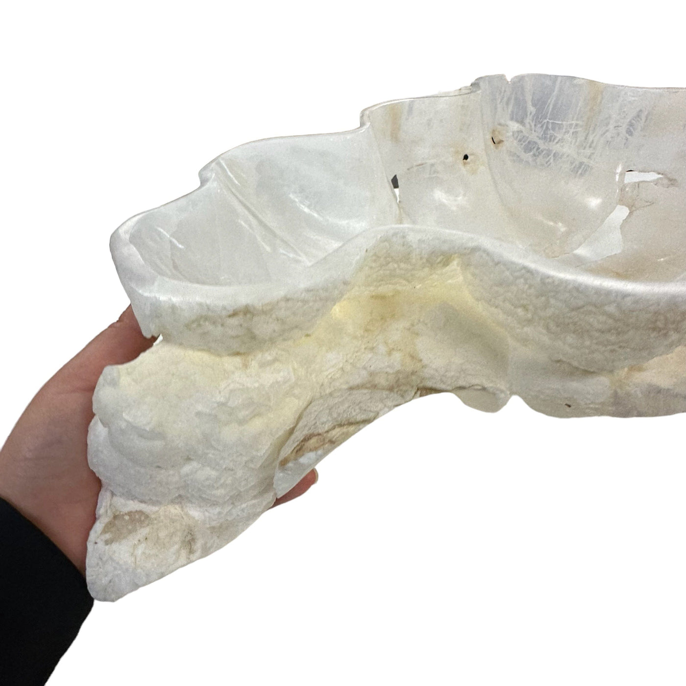 natural formation on the bowl next to hand for size reference 