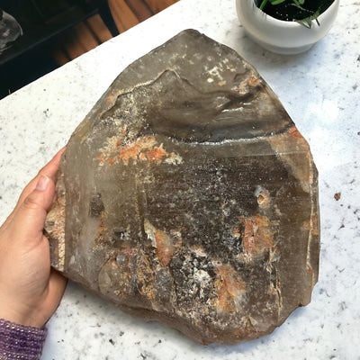 Smokey Quartz Raw Crystal Point - Large Crystal next to hand for size reference 