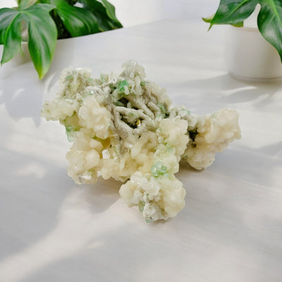 Stilbite and Green Apophyllite - Crystal Zeolite on Matrix on light wood countertop with plants in background front view