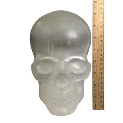selenite crystal skull displayed next to a ruler for size reference 