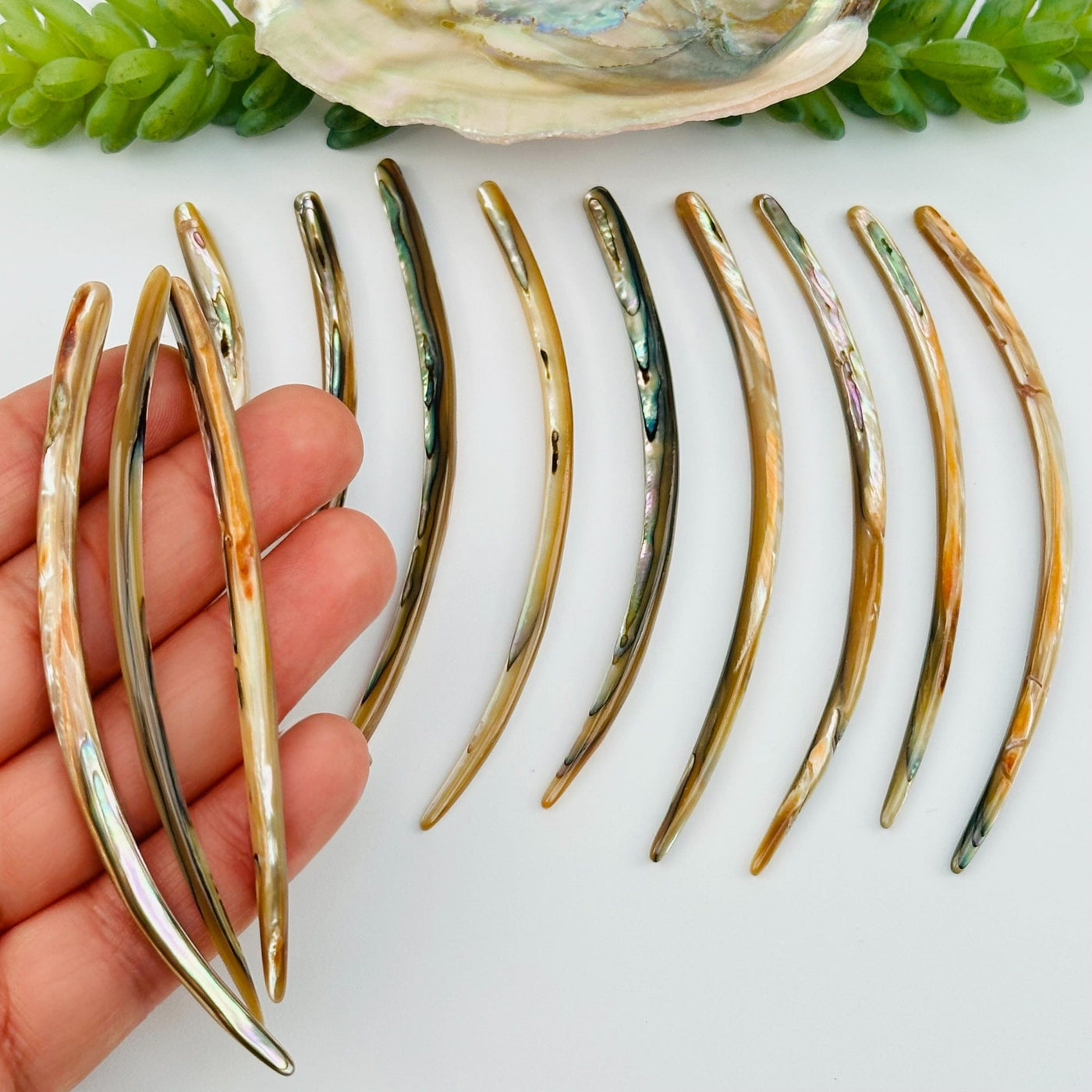 abalone point beads in hand for size reference 