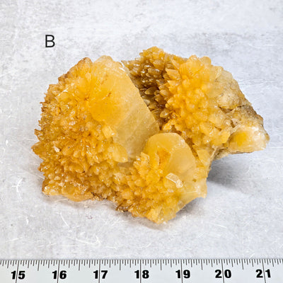 Dogtooth Calcite Crystal Cluster - You Choose #1 variant B labeled with ruler for size reference