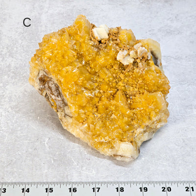 Dogtooth Calcite Crystal Cluster - You Choose #1 variant C labeled with ruler for size reference