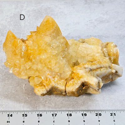 Dogtooth Calcite Crystal Cluster - You Choose #1 variant D labeled with ruler for size reference