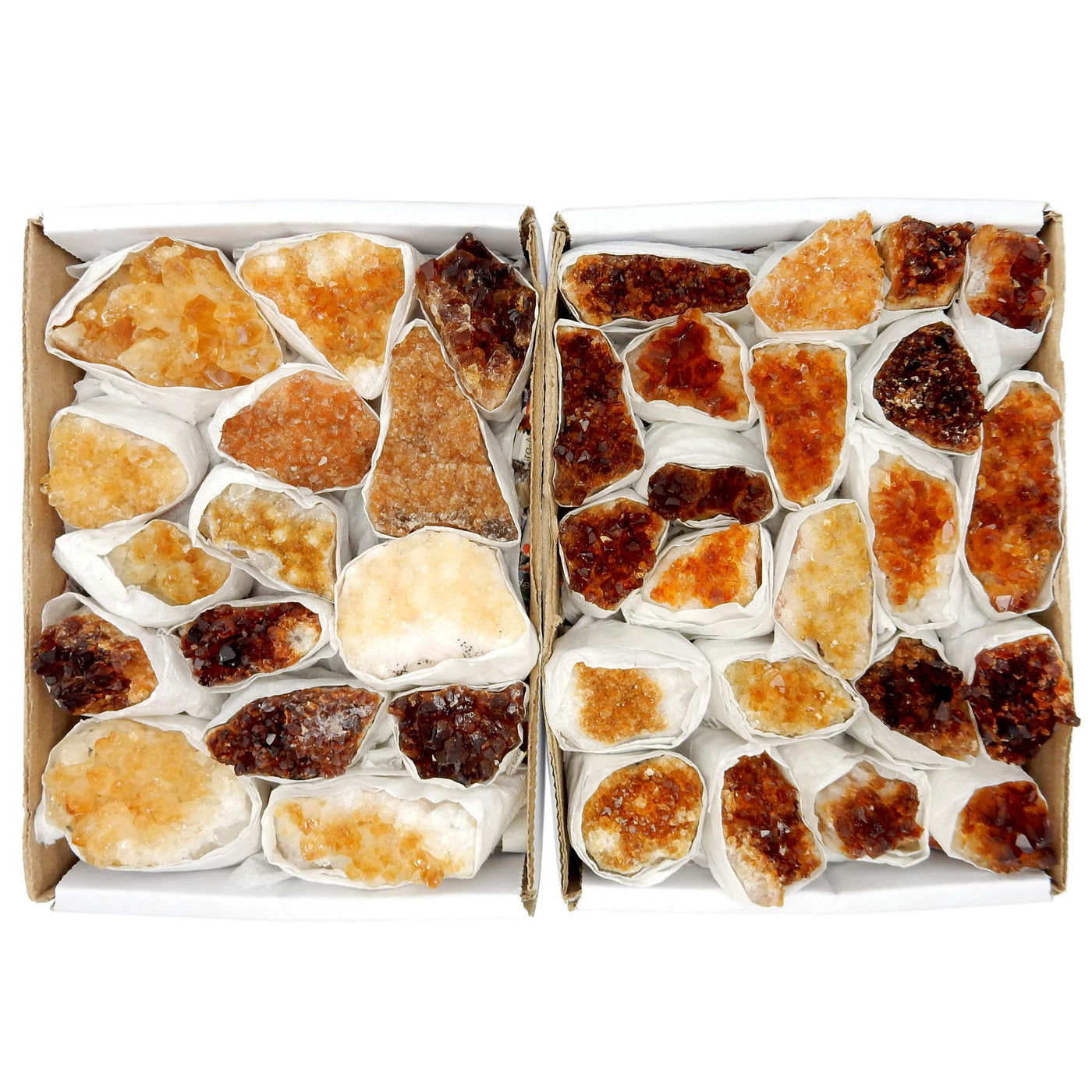 2 Raw Citrine Crystal Cluster Flat Boxes side by side showing variations