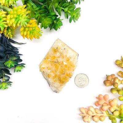Citrine Druzy Cluster with a quarter for size reference