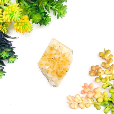 Citrine Druzy Cluster