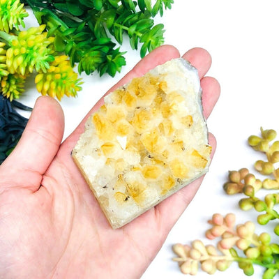 Citrine Druzy Cluster in a hand for size reference