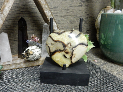 septarian with decorations in the background