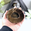 Titanium Agate Druzy Crystal Geode on hand for size reference.