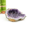 Purple Amethyst Crystal Cluster on white background for reference.