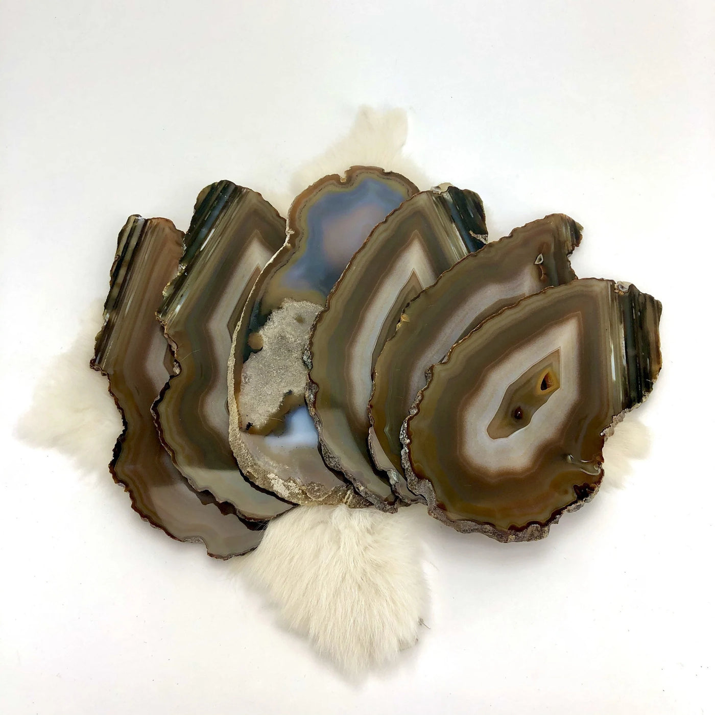 Agate Geode Slices Set of 6 Same Stone fanned out to display