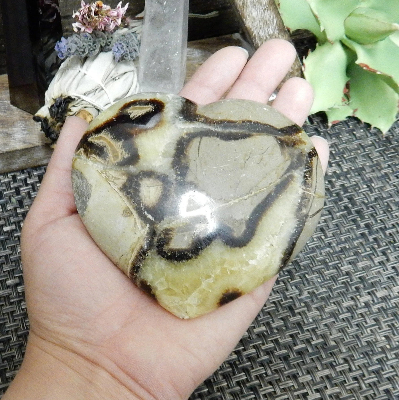 septarian with decorations in the background