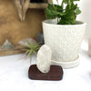 crystal displayed as home decor 