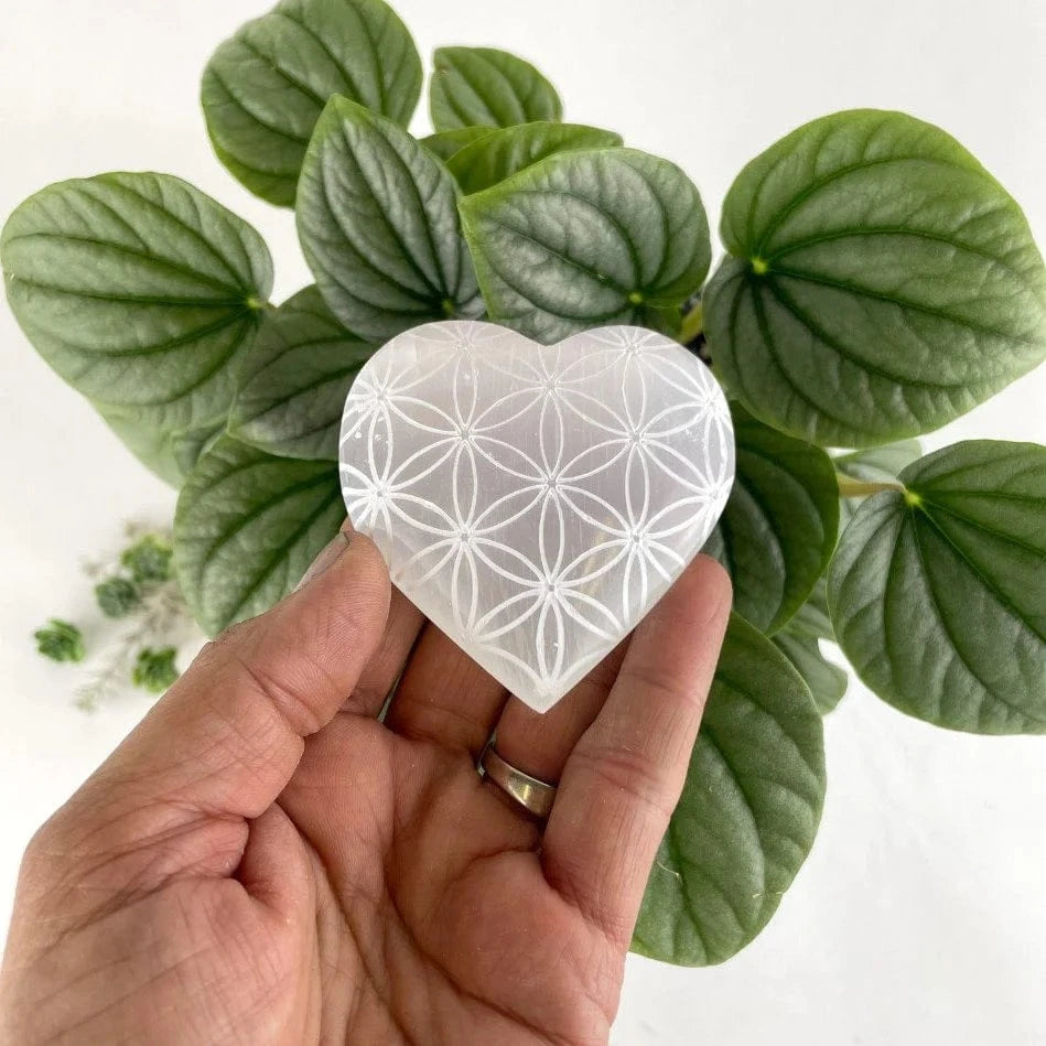 Selenite Crystal Stone Heart - Engraved with Flower of Life Pattern, in a hand for size reference
