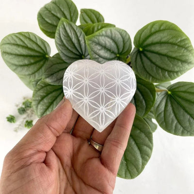 Selenite Crystal Stone Heart - Engraved with Flower of Life Pattern, in a hand for size reference