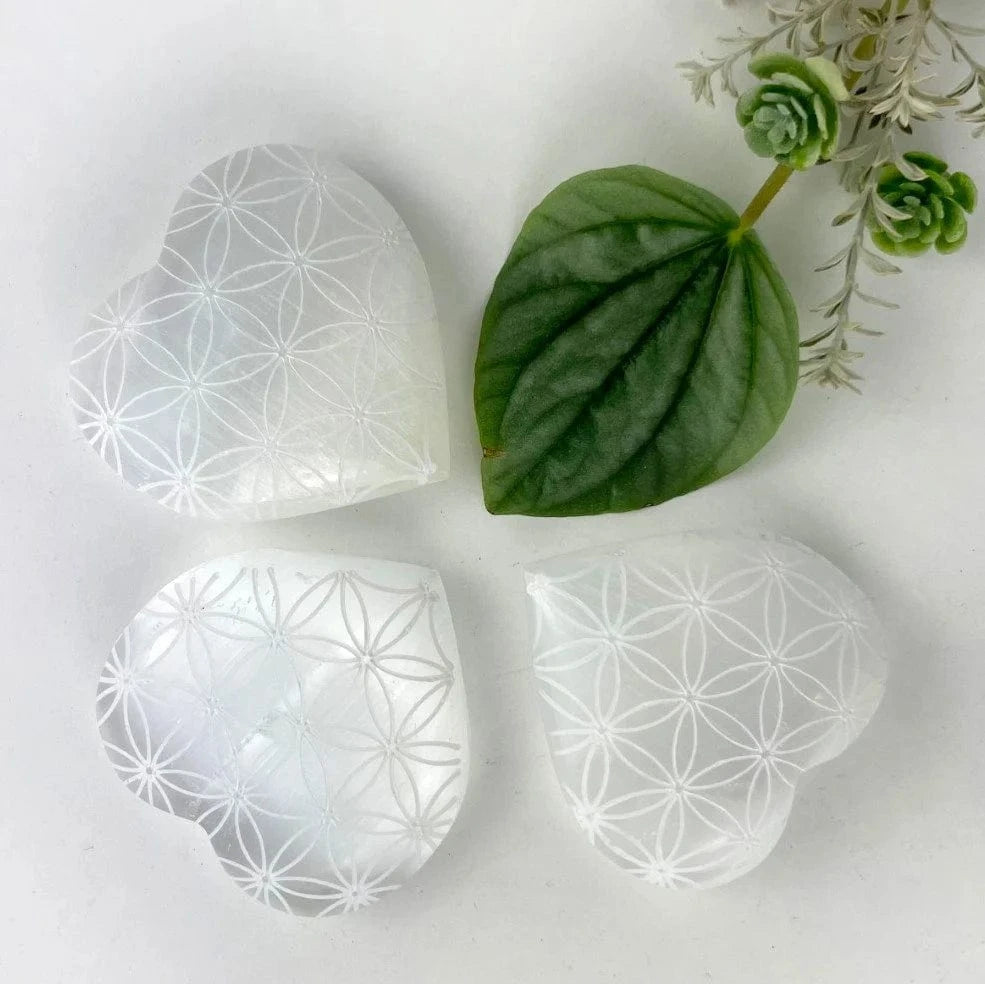 3 Selenite Crystal Stone Hearts, Engraved with Flower of Life Pattern on a table