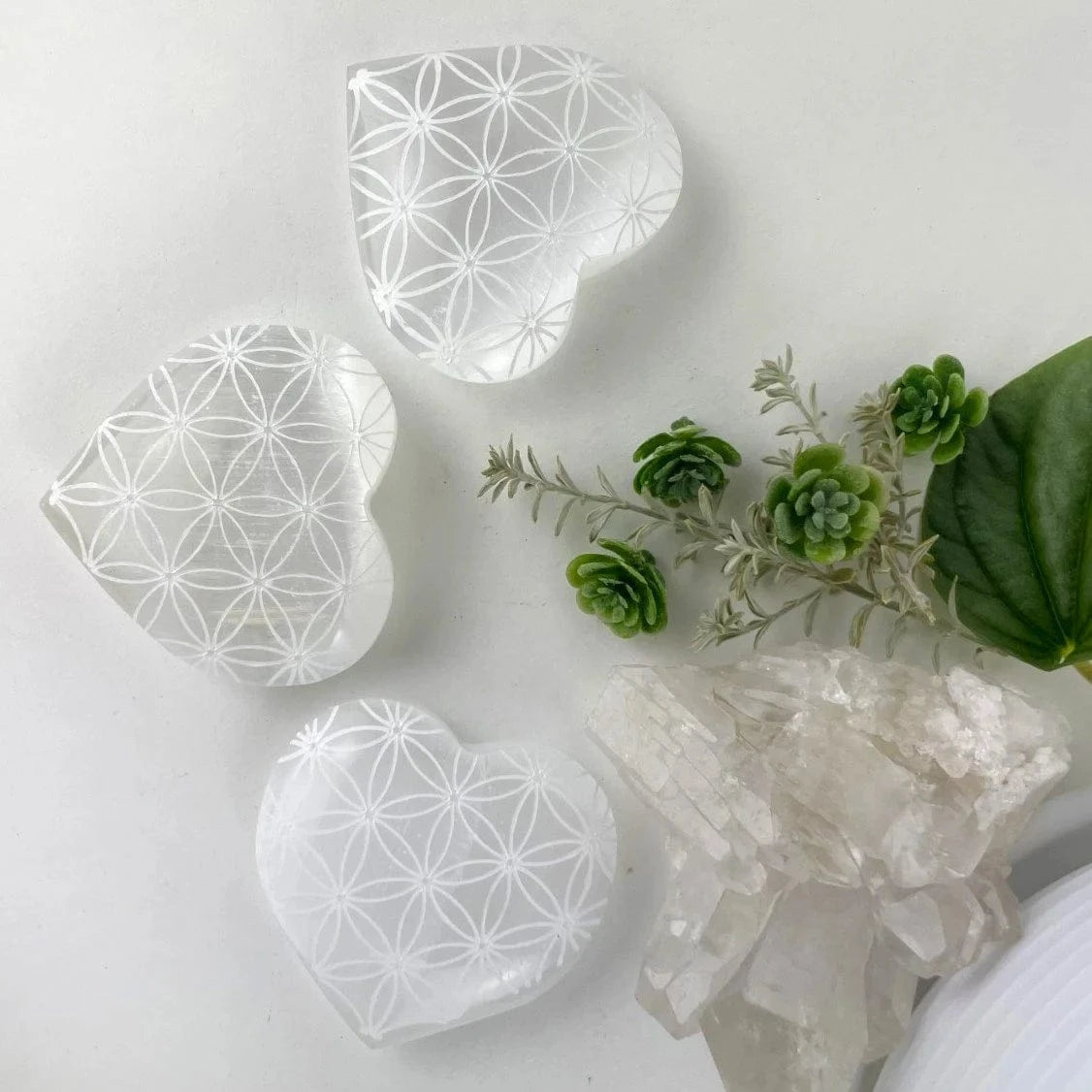 3 Selenite Crystal Stone Hearts Engraved with Flower of Life Pattern on a table displayed with crystal and a plant
