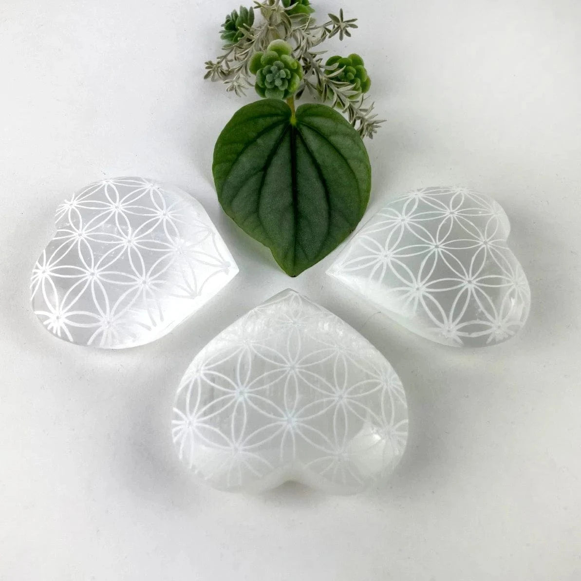 3 Selenite Crystal Stone Hearts - Engraved with Flower of Life Pattern, on a table