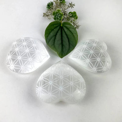 3 Selenite Crystal Stone Hearts - Engraved with Flower of Life Pattern, on a table