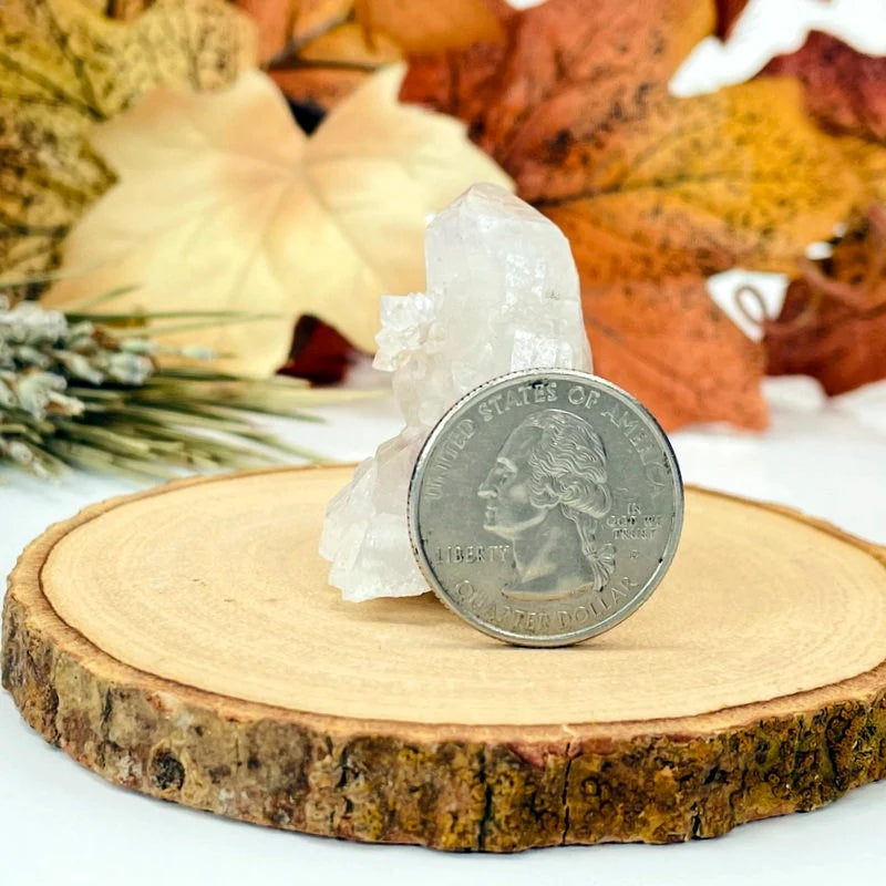 cactus quartz with decorations in the background