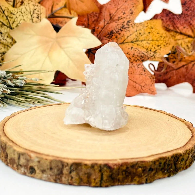 cactus quartz with decorations in the background