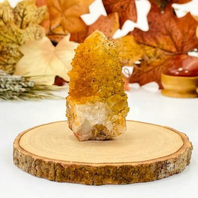 Orange Cactus Quartz - Spirit Quartz Cluster OOAK