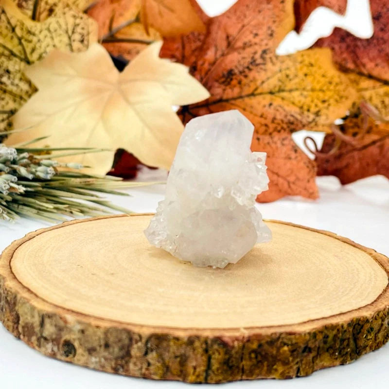 cactus quartz with decorations in the background