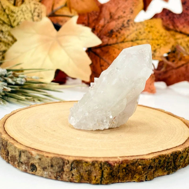 cactus quartz with decorations in the background