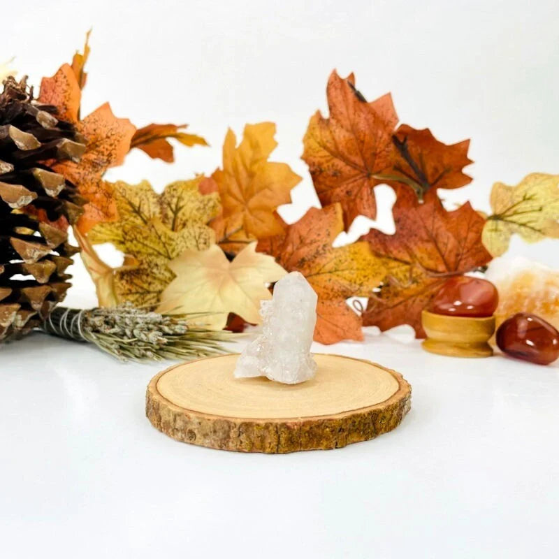 cactus quartz with decorations in the background