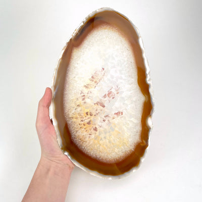 agate slices on white background