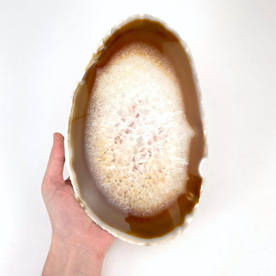 agate slices on white background