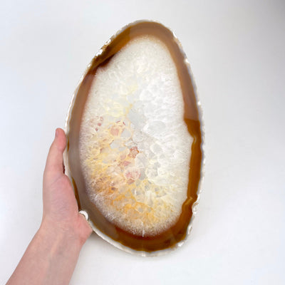 agate slices on white background