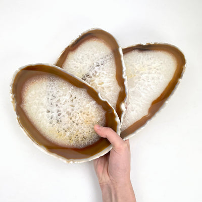 agate slices on white background