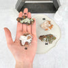 Mexican Hemimorphite Crystal Cluster - You Choose