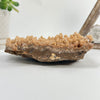 Close up view of Dogtooth Calcite Crystal Cluster on white background for reference.