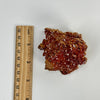 Natural Vanadinite Crystal Cluster next to ruler for size reference.