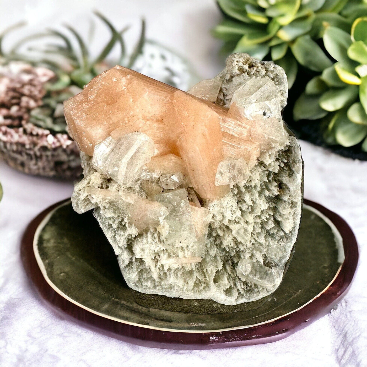 Peach Stilbite with Apophyllite and Zeolite - Crystal Formation - on agate coaster with succulents in background