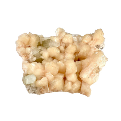 Peach Stilbite with Apophyllite and Zeolite - Museum Quality - Crystal Cluster back view